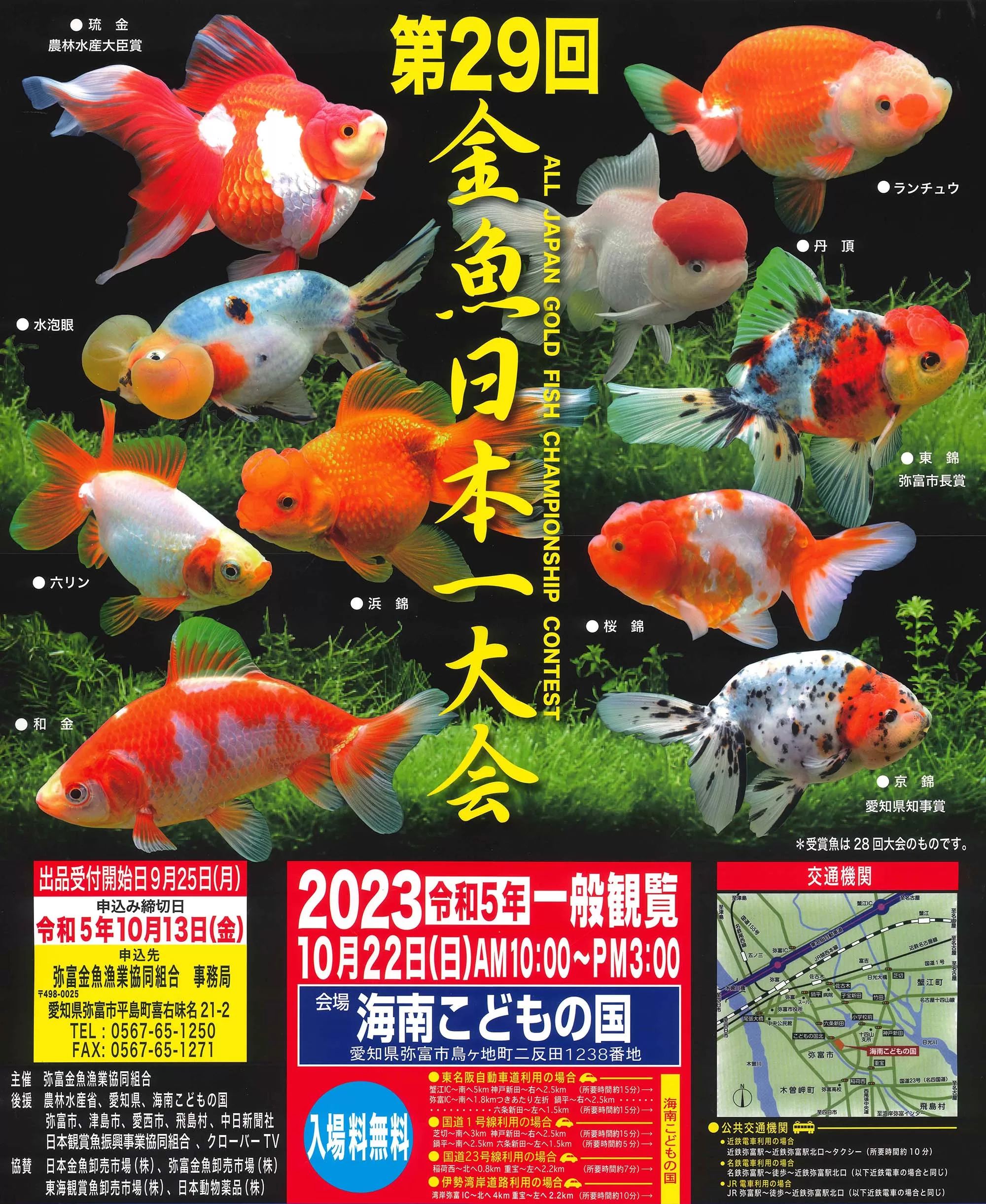 金魚日本一大会